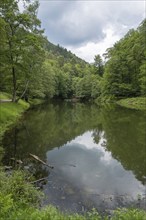 Hilschweiher, Edenkobener Tal, Palatinate Forest, Palatinate, Rhineland-Palatinate, Germany, Europe