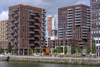 New residential tower blocks in the Katendrecht neighbourhood, Feijenoord district in Rotterdam, on