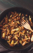 Fried chanterelles with mushrooms, in a clay pan, close-up, top view, selective focus