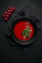 Tomato soup, with herbs and spices, homemade, no people