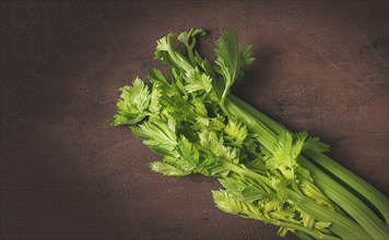 Fresh bunch of celery, top view, no people, on a dark background