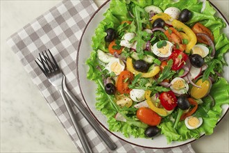 Vegetable salad, with quail eggs and olives, fresh, close-up, no people