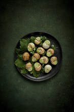 Grape snails, stuffed in burgundy, french cuisine