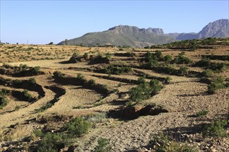 Landscape in the Adua Mountains, Adwa Mountains, the battlefield of the Italians in Ethiopia,