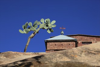 Abraha Atsbeha rock church, Abreha wa Atsbeha monastery, Ethiopia, Africa