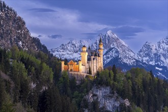 Neuschwanstein Castle near Füssen, Schwangau, Allgäu Alps, night shot, illuminated, snow, East