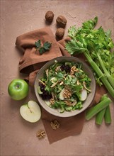 Fresh, Waldorf salad, celery stalk with chicken, apple and walnut, grapes, herbs, homemade, no