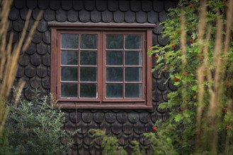 Old wooden window on a farmhouse, decoration, window, historic, old, old, muntin window, decorated,