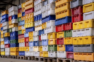 The town harbour of Sassnitz, island of Rügen, boxes of fish waiting for the new catch, at the