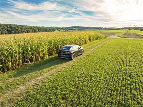 Black car driving on a dirt track along a high corn field under a blue, slightly cloudy sky,