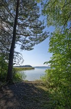 Bathing area and leisure facilities on the eastern shore of Lake Wigry in the Wigry National Park