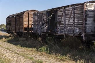 Old goods wagons in the science harbour, Magdeburg, Saxony-Anhalt, Germany, Europe