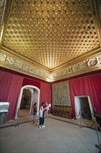 Pine Cone Room in the Alcazar, Segovia, Province of Segovia, Castile and Leon, Spain, Europe