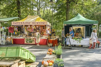 Weekly market, Kollwitzplatz, Prenzlauer Berg, Pankow, Berlin, Germany, Europe