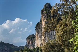 Landscape with chalk cliffs, sandstone, sandstone rocks, climbing, climbing rocks, nature, natural