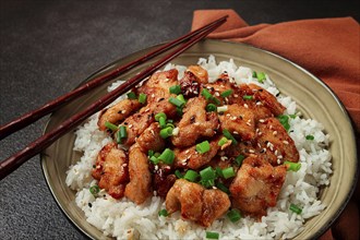 Fried chicken teriyaki with rice, green onion and sesame, homemade, no people