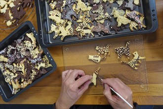 Swabian cuisine, Swabian Christmas biscuits, cookie cutters, shortbread biscuits painted with