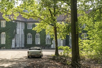 Vintage car parked in front of a historic, ivy-covered stately building surrounded by trees in the