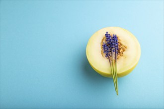 Sliced ripe yellow melon and hyacinth flowers on blue pastel background. Side view, copy space.