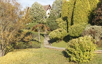 Park with green lawn, trees, hedges, trimmed bushes and hilly terrain. Modern landscape design