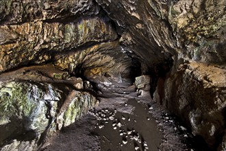 View into the Feldhof Cave, Hönnetal, Balve, Märkisches Sauerland, North Rhine-Westphalia, Germany,