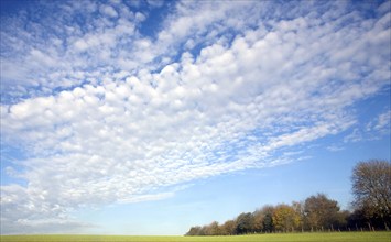 Mackerel sky clouds above summer county landscape, Shottisham, Suffolk, England, UK