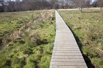 A wooden boardwalk across wet marshy field forming an art work High Water Mark 2048 by Jonathan