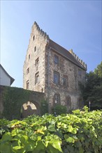 Historic temple house built 14th century, Erbach, Hesse, Odenwald, Germany, Europe