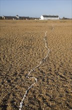 White line of sea shells running over shingle beach towards Coastguard Cottages, Shingle Street,