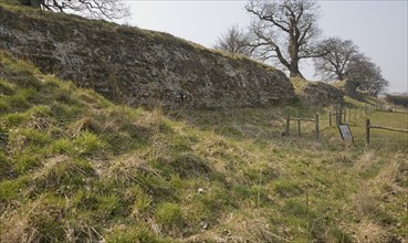 Site of Roman town of Venta Icenorum, Caister St Edmund, Norfolk, England, United Kingdom, Europe