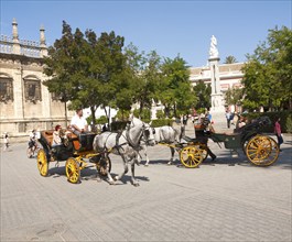 Horse and carriage rides for tourists through the historic central areas in Plaza del Triunfo,