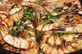 Grilled black tiger prawns