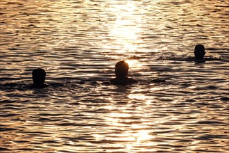 Swimming at sunset in Schlachtensee, Berlin, 11/08/2022 -