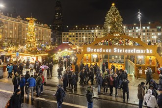 The Dresden Striezelmarkt is a Christmas market in Dresden. It has been held in Advent since 1434,