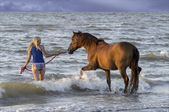 Horsewoman, female horse rider bathing, paddling with horse in shallow water on the beach in summer