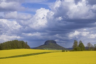 The Lilienstein is the most famous striking rock formation in Saxon Switzerland, Struppen, Saxony,