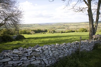 Distant view of Corfe Castle Dorset England