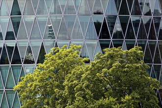 Green tree in front of the Westhafen Tower with a diamond-shaped, petrol-coloured façade structure