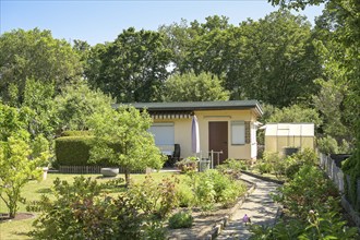 Allotment garden, garden colony Rauhe Berge, Munsterdamm, Steglitz, Berlin, Germany, Europe