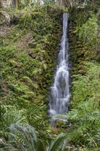 One of several man made waterfalls in Rainbow River State Park in Dunnellon, Florida, USA, North