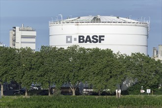 BASF, Lugwigshafen am Rhein, industrial area, Mannheim, Baden-Württemberg, Germany, Europe