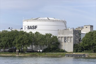 BASF, Lugwigshafen am Rhein, industrial area, Mannheim, Baden-Württemberg, Germany, Europe