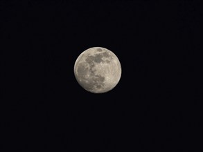 Moon, full moon, night shot, NSG Wagbachniederung, Waghäusl, Baden-Württemberg, Germany, Europe