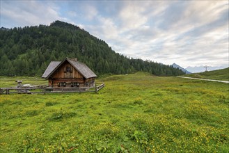 Ursprungalm, Alpine hut, Alpine meadow, Mountain landscape, Schladminger Tauern, Schladming, Styria