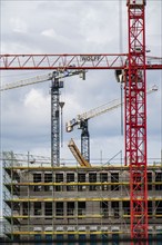 Construction cranes on two large construction sites, construction of office buildings in