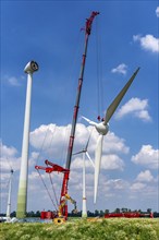 Repowering of a wind farm near Issum, 9 older wind turbines from the manufacturer Enercon (model