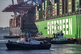 Container ship Ever Gifted, arriving at the port of Hamburg, Waltershofer Hafen, HHLA Container