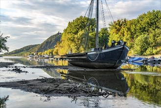 The Rhine at extremely low water, near Bad Honnef Rhöndorf, below the Drachenfels, the historic