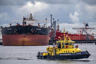 Large tanker for crude oil, Blü Nova, being unloaded, inland waterway vessel, harbour tug, in the