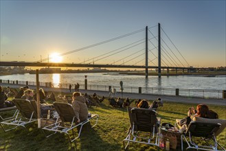 Rhine promenade, city beach, Rhine meadows, banks of the Rhine in the historic city centre of